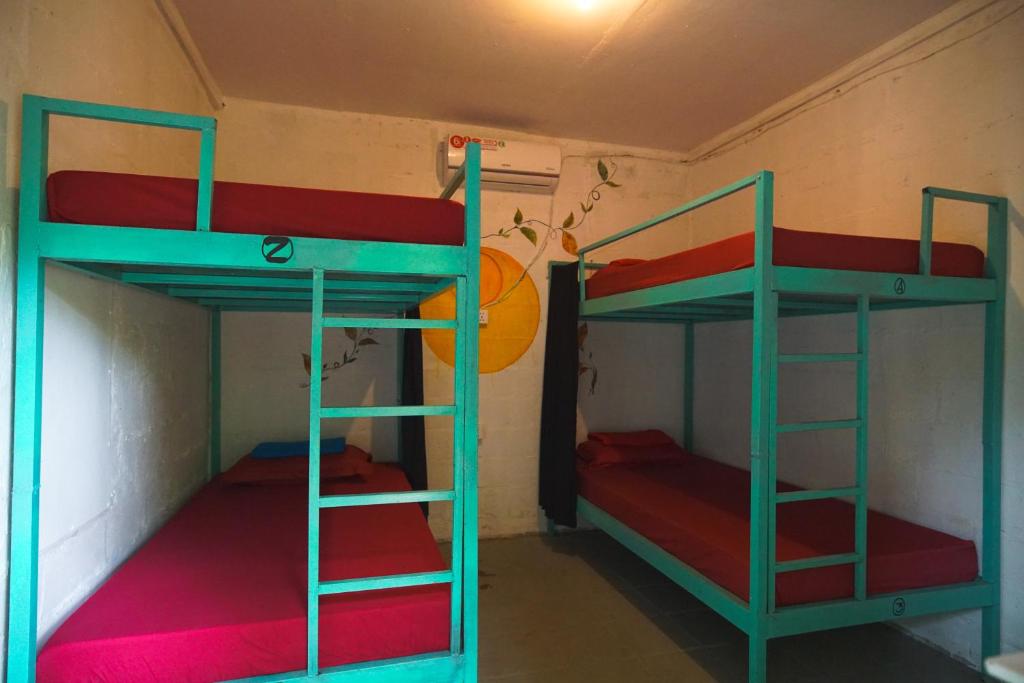 Dorm room with colourful bunk beds